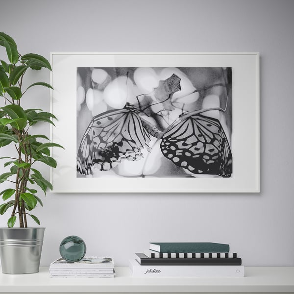A framed black and white two butterflies hangs on a wall. Below it, a potted plant, books, and a glass sphere sit on a shelf.