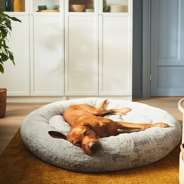 Large brown dog sleeps in cosy, round pet bed with high edges and anti-slip bottom.