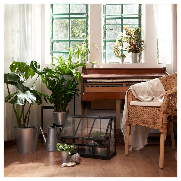Ljust rum med piano, korgstol, växter och modernt terrarium.