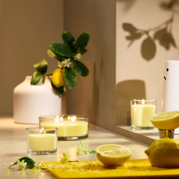 Tre LOTSFÅGEL-ljus i glasglas: två små, ett medelstort med citroner och blommor.