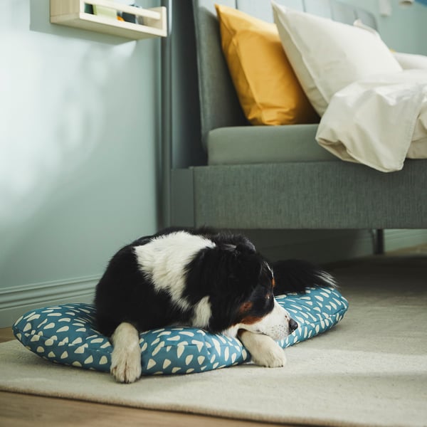 Mysig hundsäng i vardagsrummet, som ger komfort och avkoppling för husdjur.