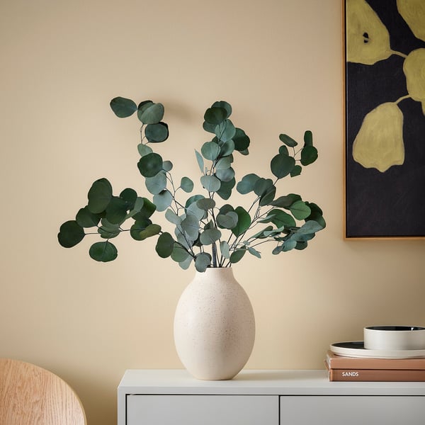 TORKA Dried plants, bunch/eucalyptus green, 70 cm
