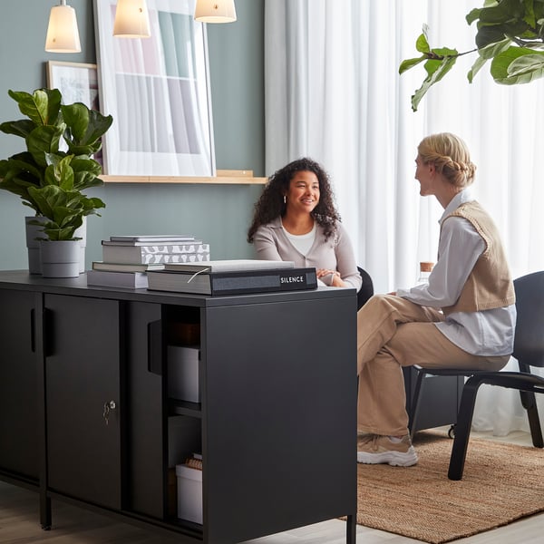 People chat at double-sided cabinet with plant and books.