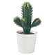 Artificial desk & office plants
