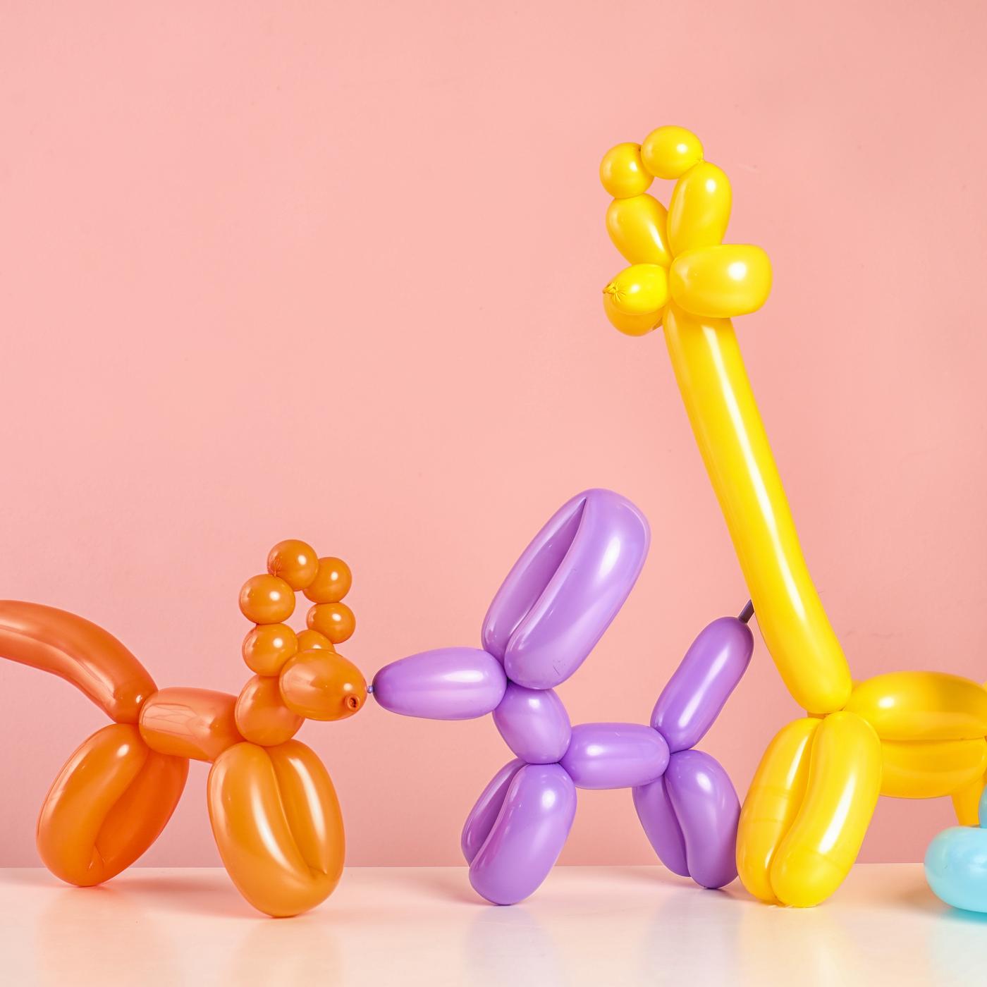 Balloon Artist for IKEA Etobicoke's 25th Birthday!