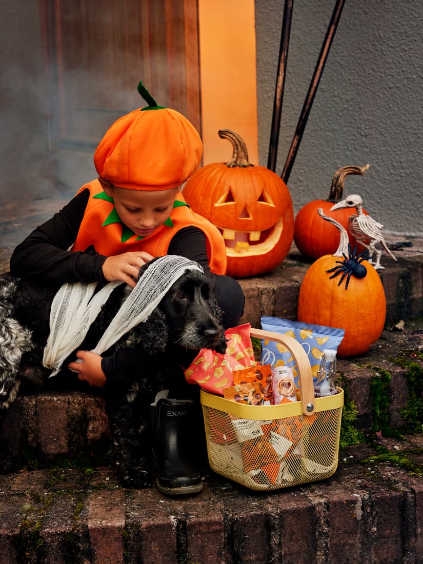 Kids Trick or Treat Spooktacular