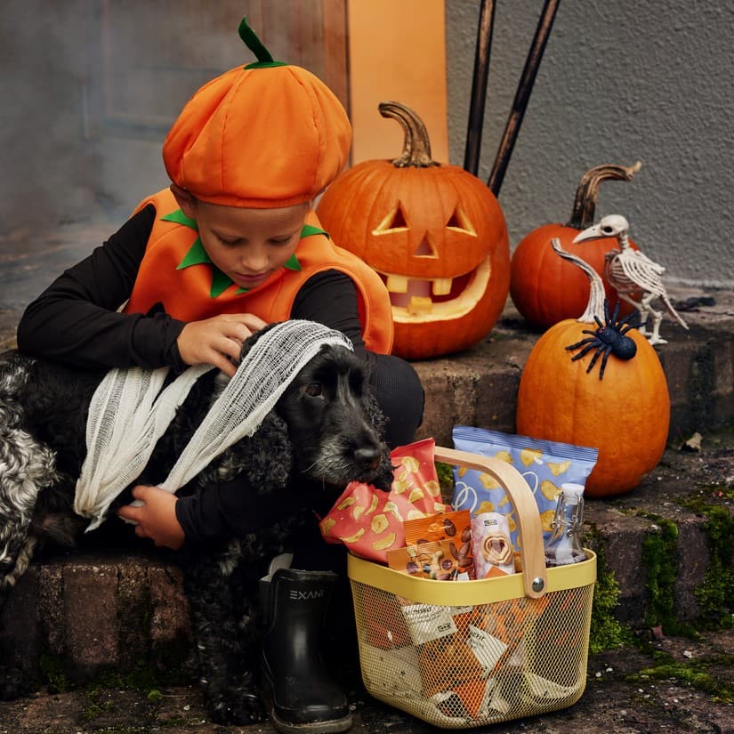 Kids' Trick or Treat at IKEA Baltimore