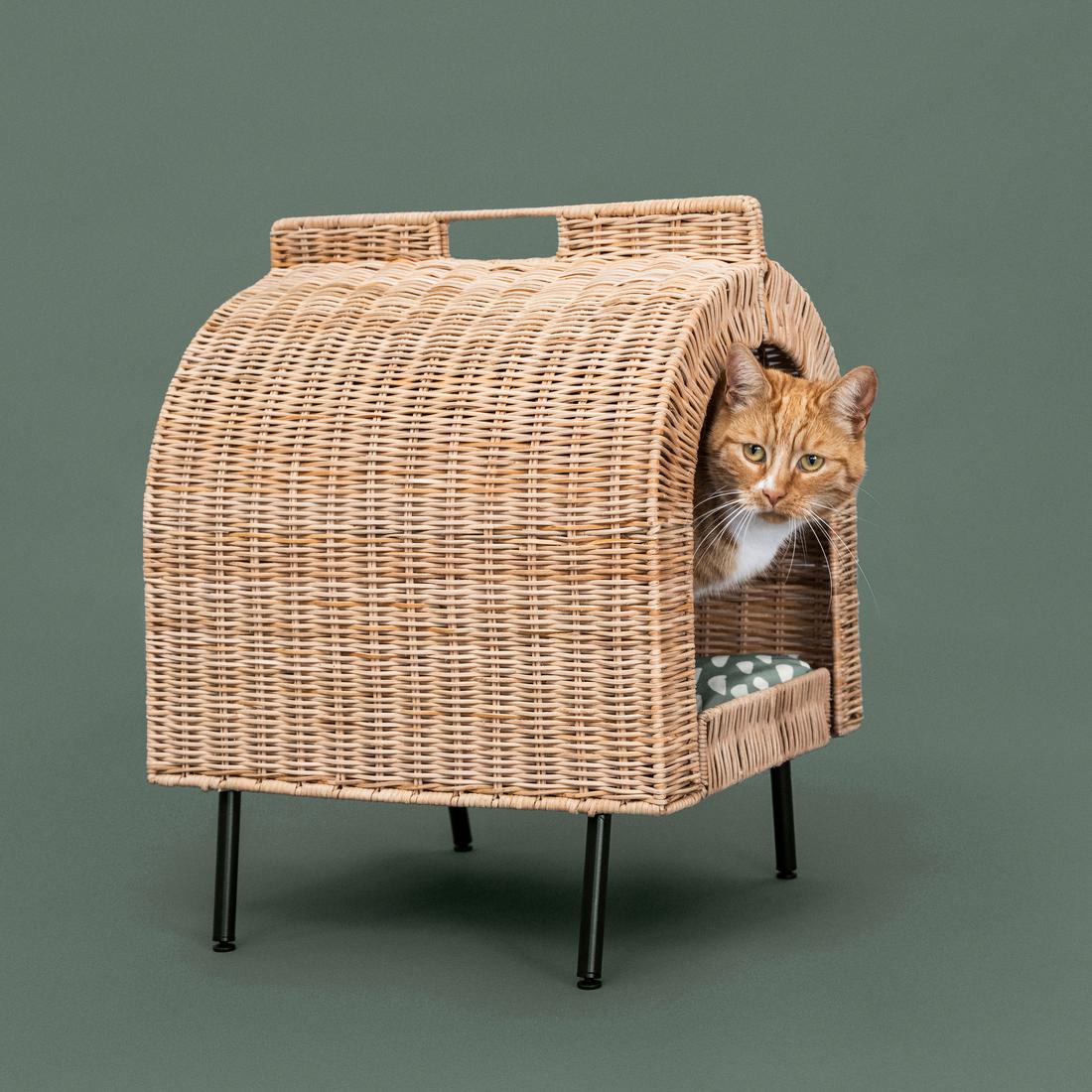 IKEA新三郷で保護犬・保護猫に会おう!