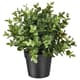 Plantas de escritorio artificiales