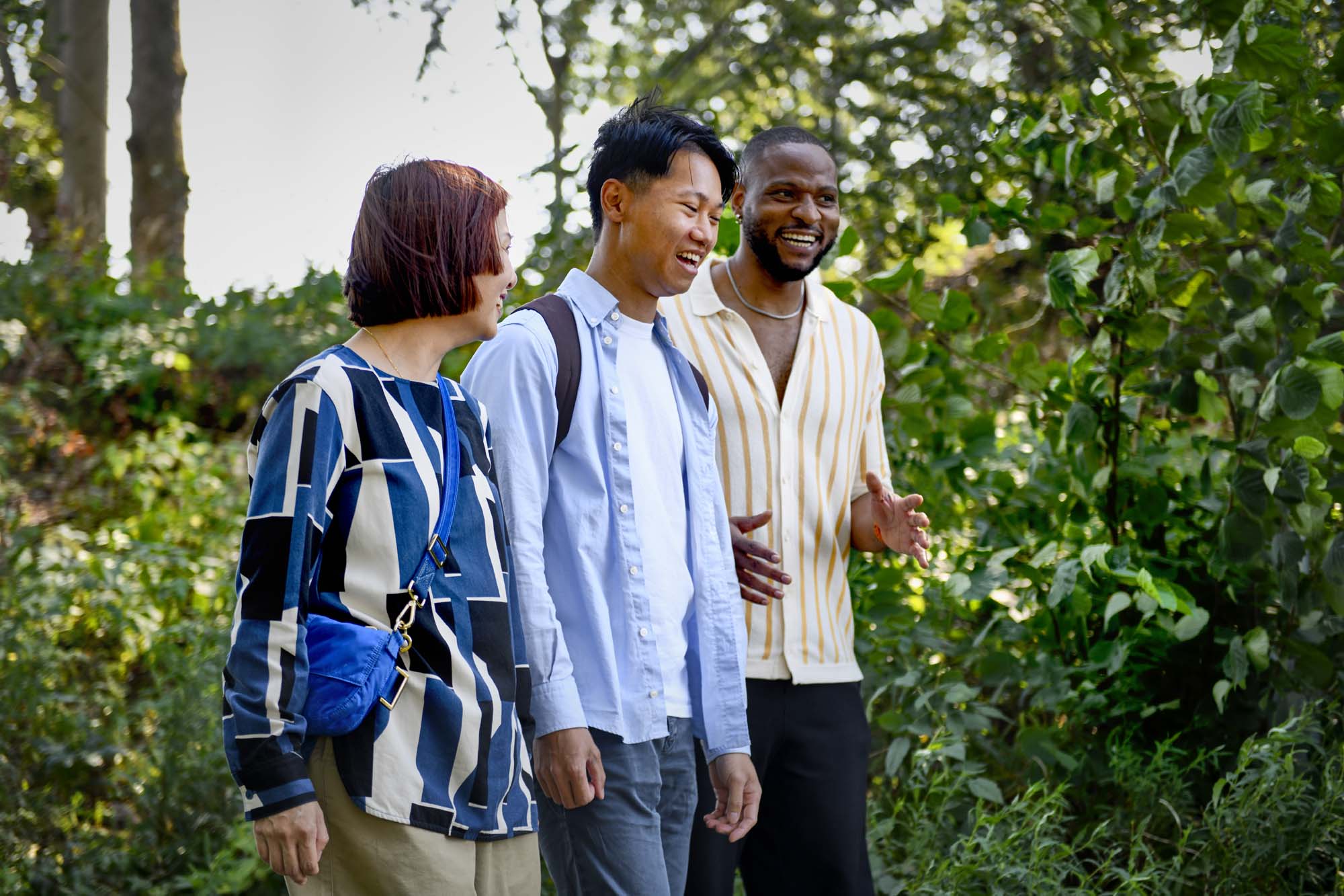 Three people chat and laugh while walking through the forest.