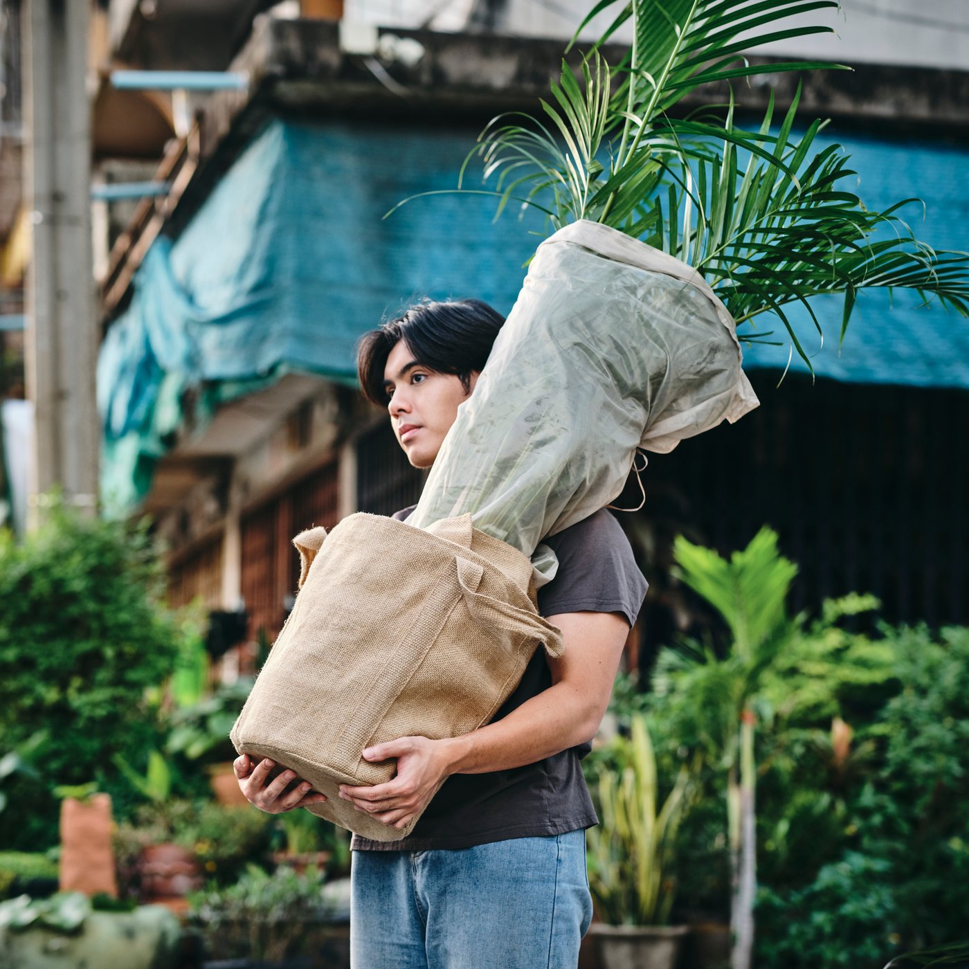 A person carrying plant with the plant pot from the collection.