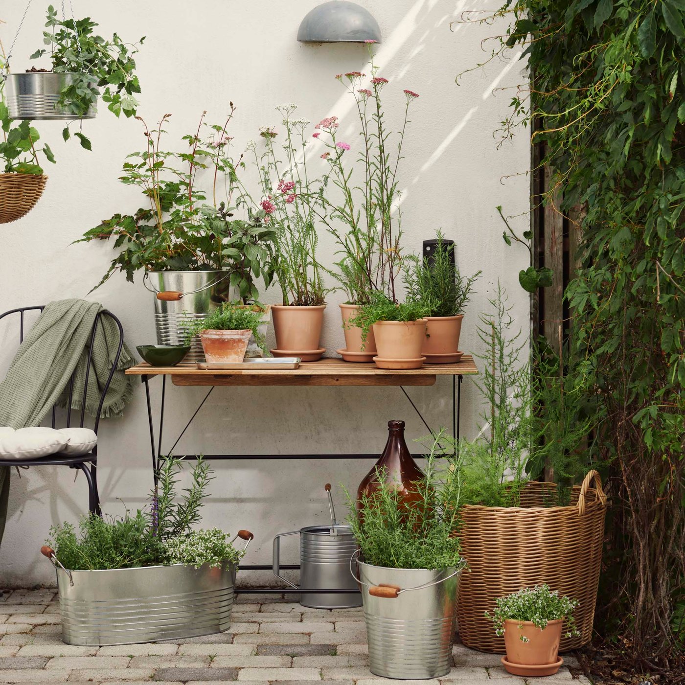 A row of plants in various sized terracotta pots on a wooden outdoor side table on a terrace.