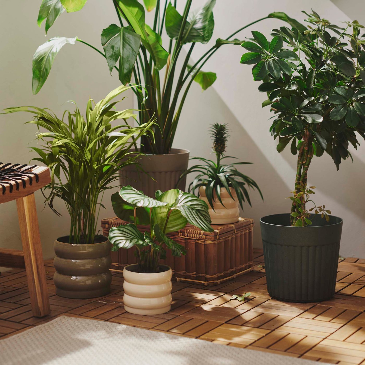 A group of plants in different style pots on the wooden floor of a balcony.
