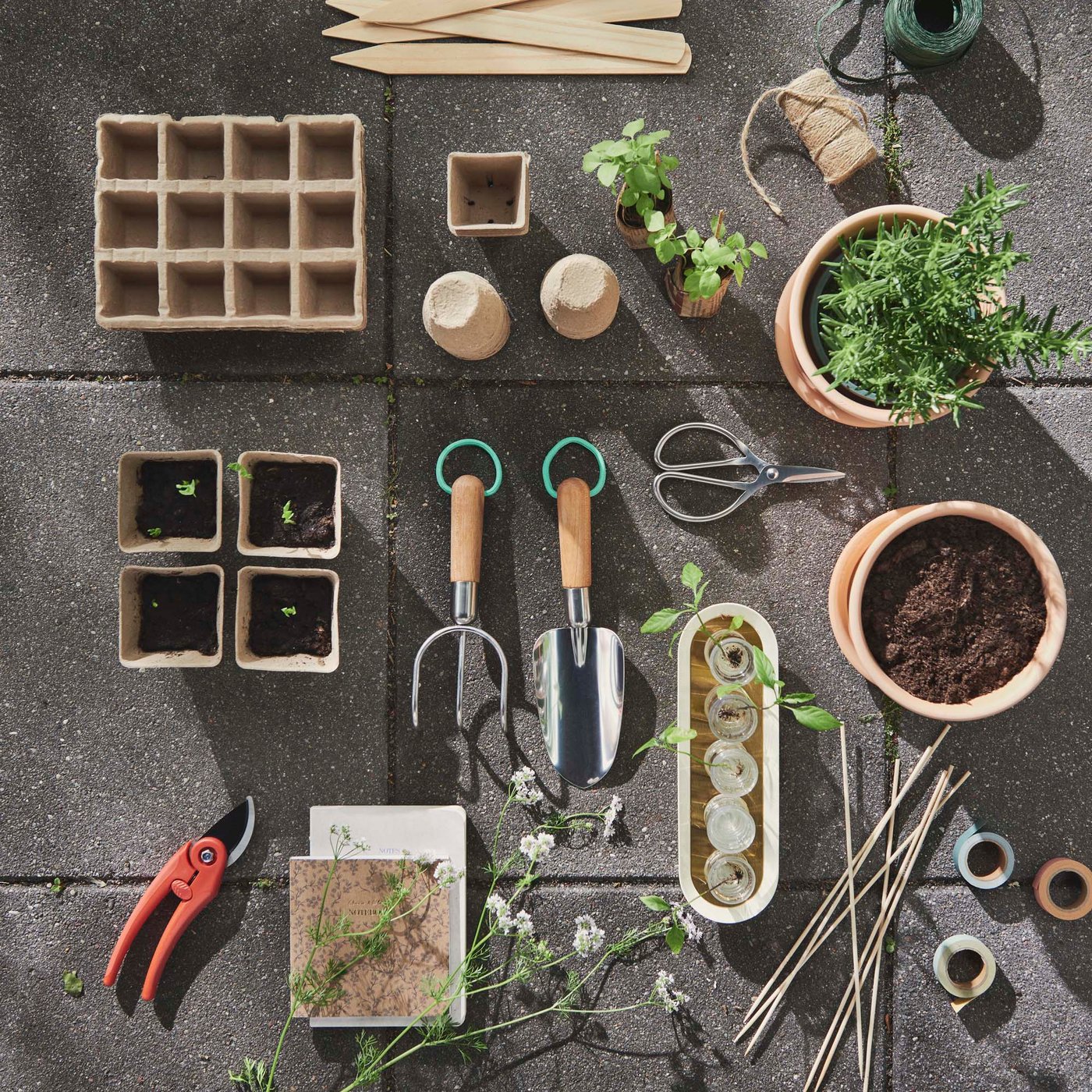 A birds-eye view of neatly arranged propagating equipment against a black background.