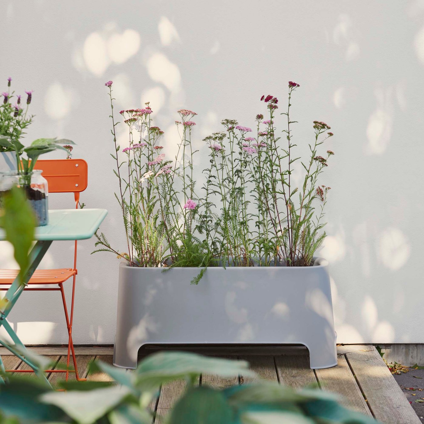 Tall verbena in a grey pot on an outdoor terrace beside an orange chair.