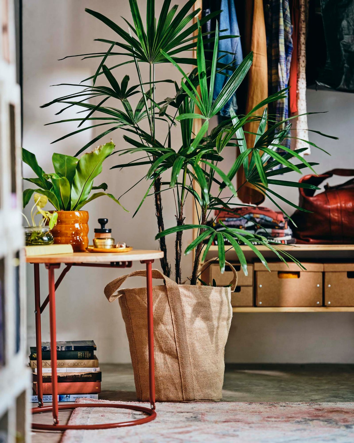 A plant in a jute plant pot behind a red and light wood side table.