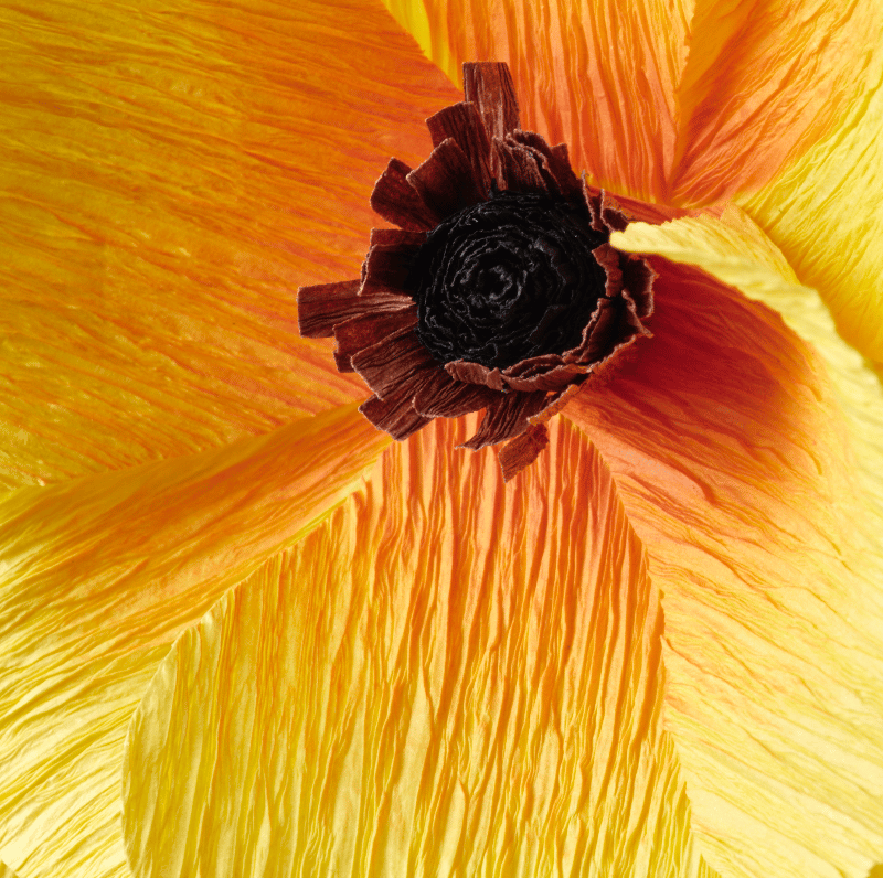 Close-up of a GULDSPETT yellow ranunculus artificial flower.