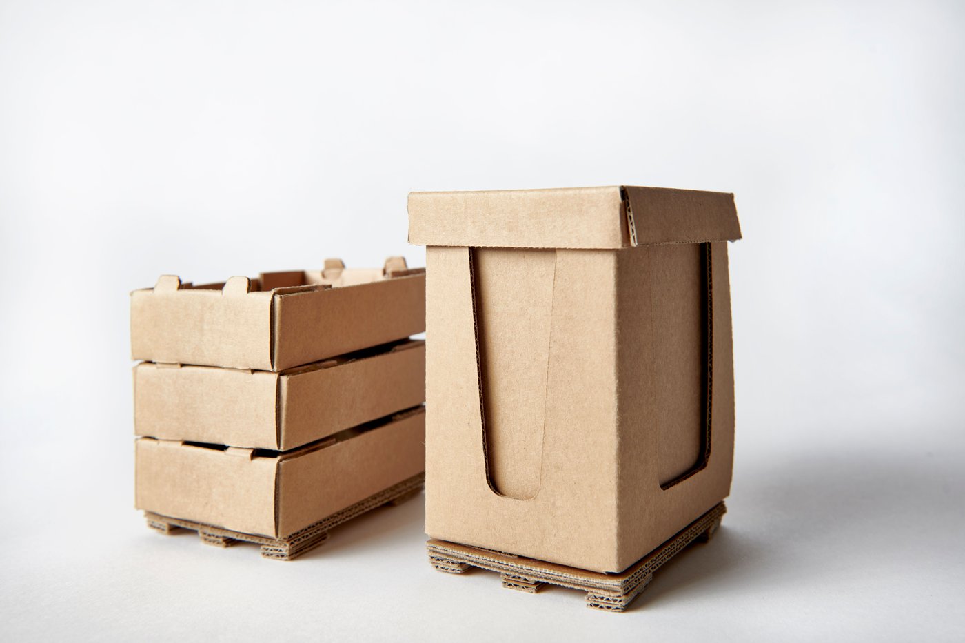 Packaging prototypes next to one another on a white infinity background.