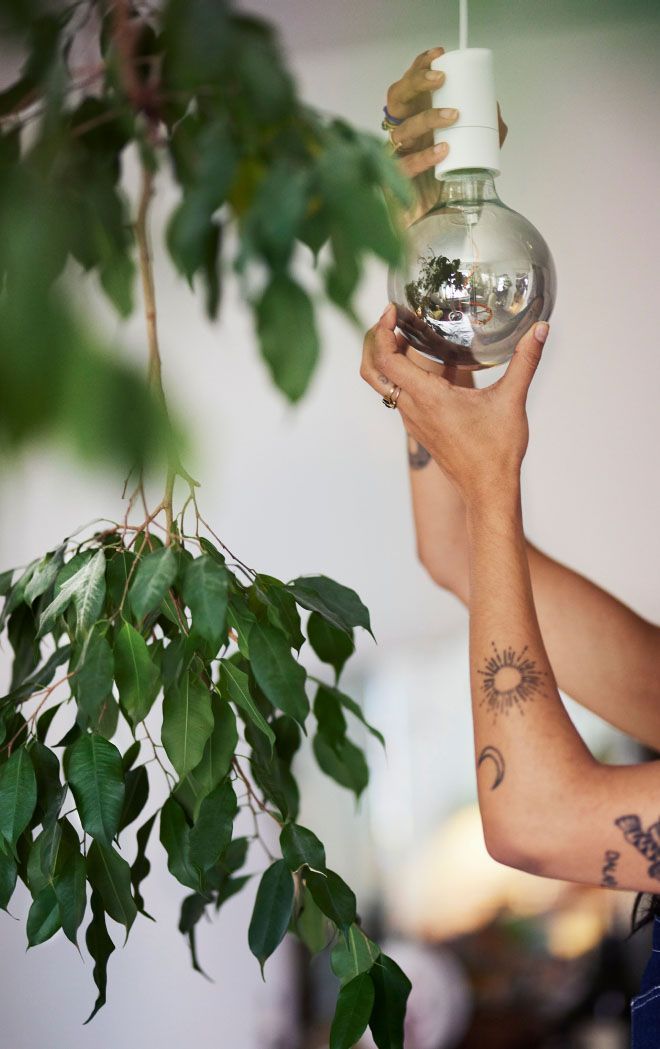 A person screws in a large light bulb. Branches hang in the foreground.