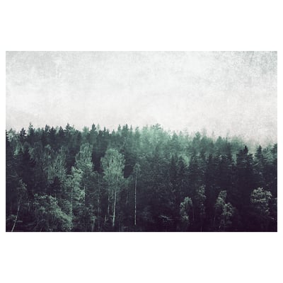 Is a greenish-toned forest poster, showing a dense forest with tall trees reaching up toward a cloudy sky.