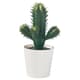 Artificial desk & office plants