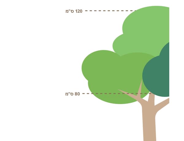 ציור של עץ עם ציון של שני גבהים, מינימום ומקסימום 