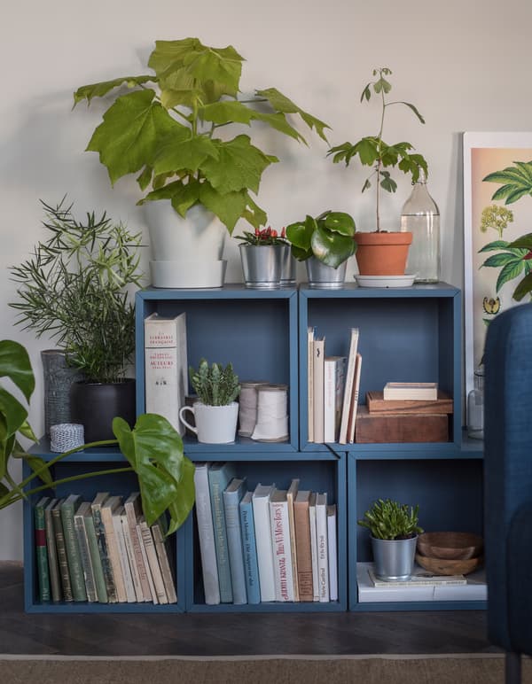 5 meubles de rangement bleus empilés posés par terre dans un salon, avec livres et plantes à l’intérieur et plantes au-dessus.