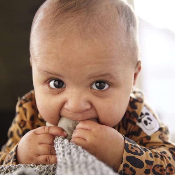 A baby wearing a cheetah top chewing on a blanket.