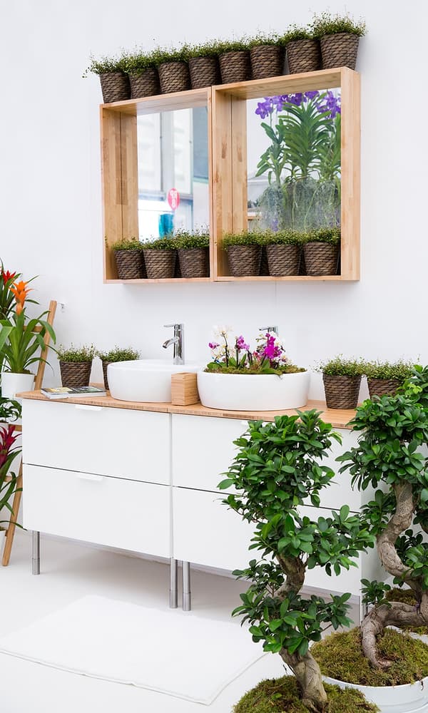 A bathroom with two sink units and mirrors above with potted plants.