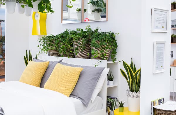 A bedroom with live plants