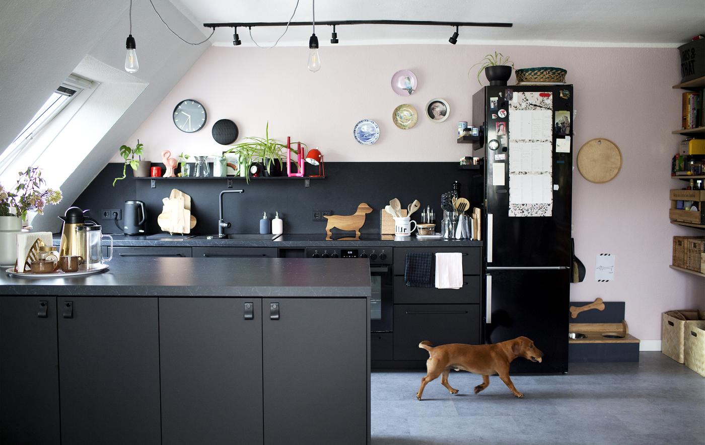 A black, white and pastel-pink open kitchen and a small dog.