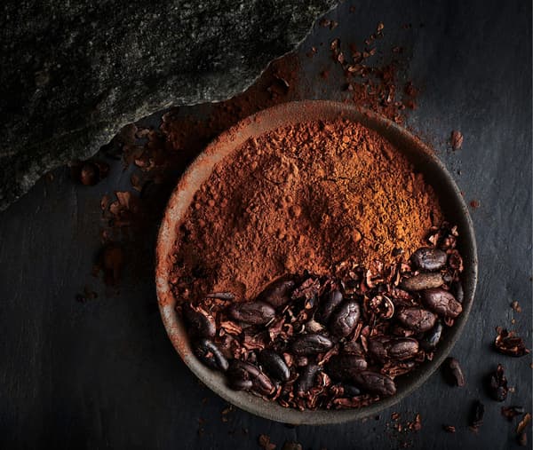 A bowl of cocoa powder and cocoa beans.