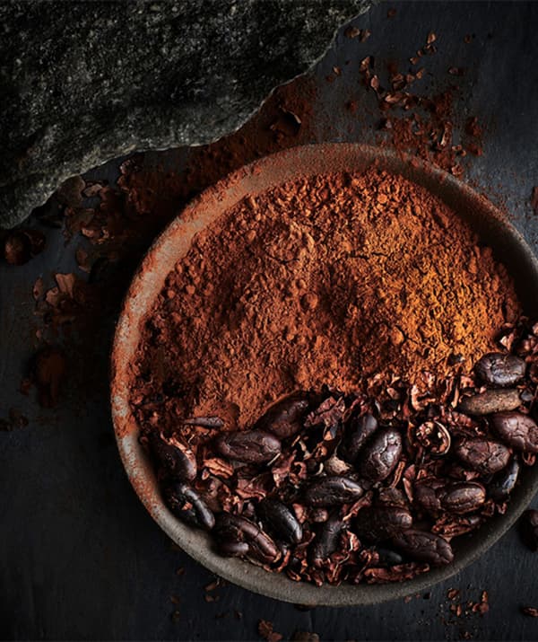 A bowl of cocoa powder and cocoa beans.