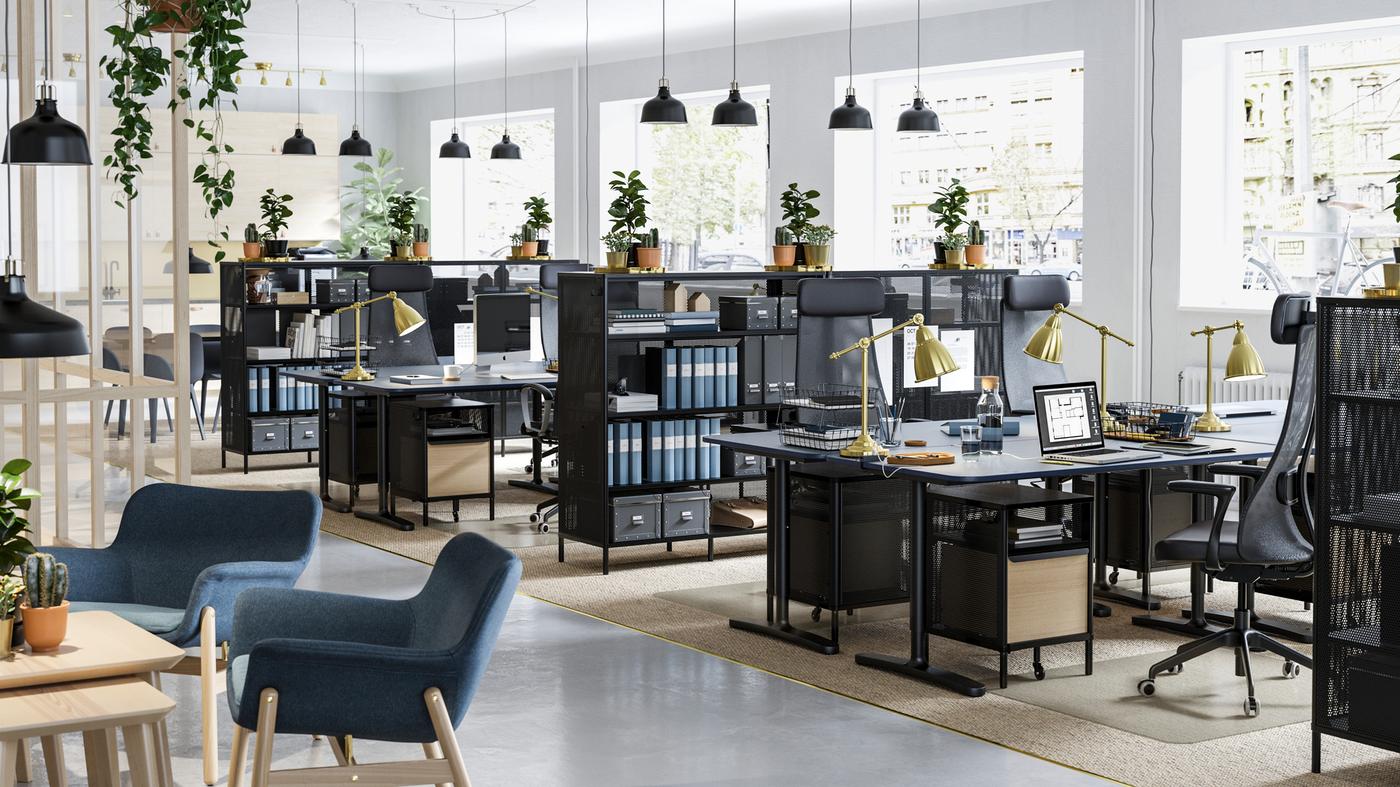 A business office space filled with plants on top of BEKANT black mesh shelving units and black sit stand desks.