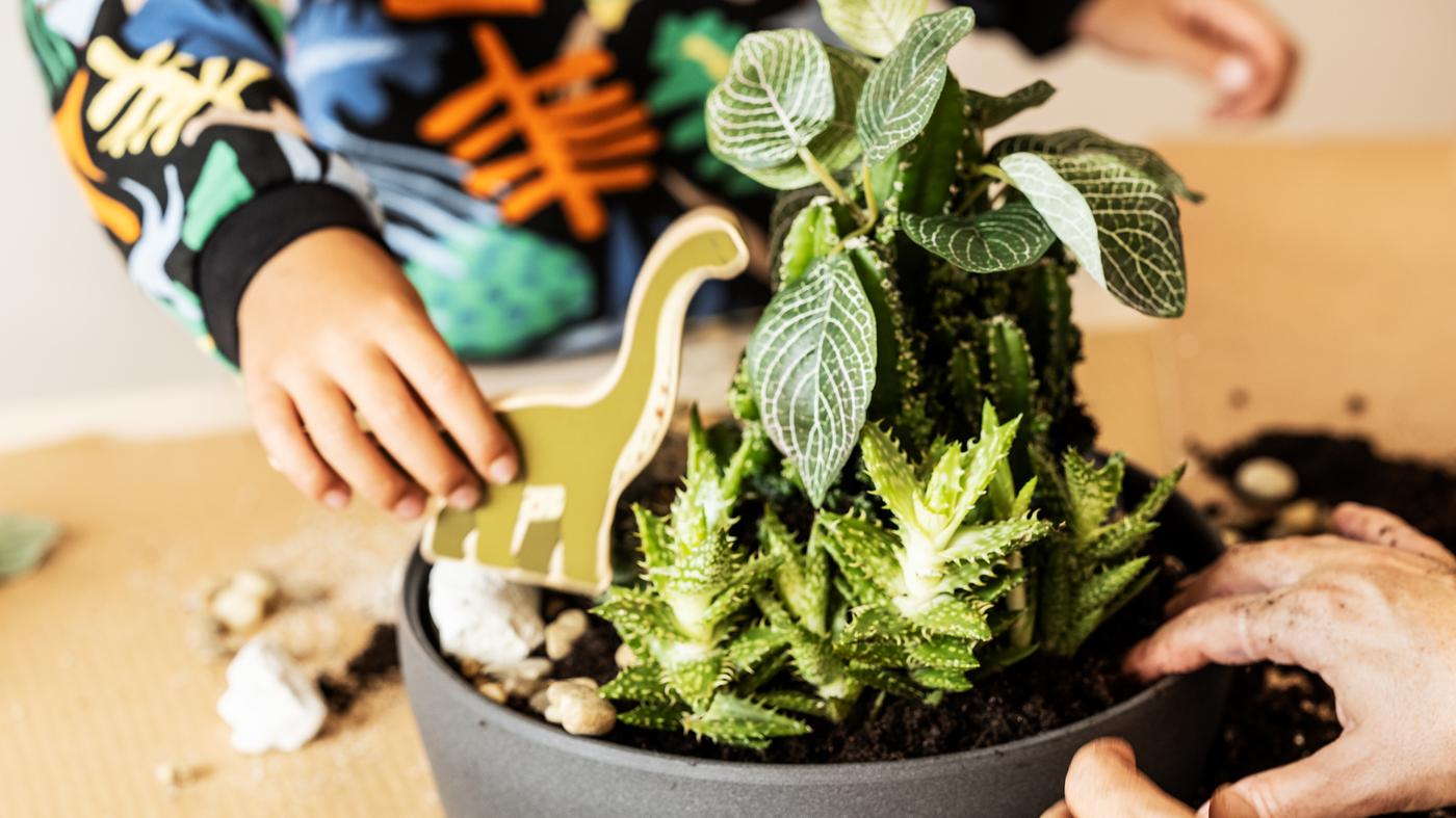 A child is playing with a JÄTTELIK world set dinosaur in a plant pot with green plants on a table indoors.