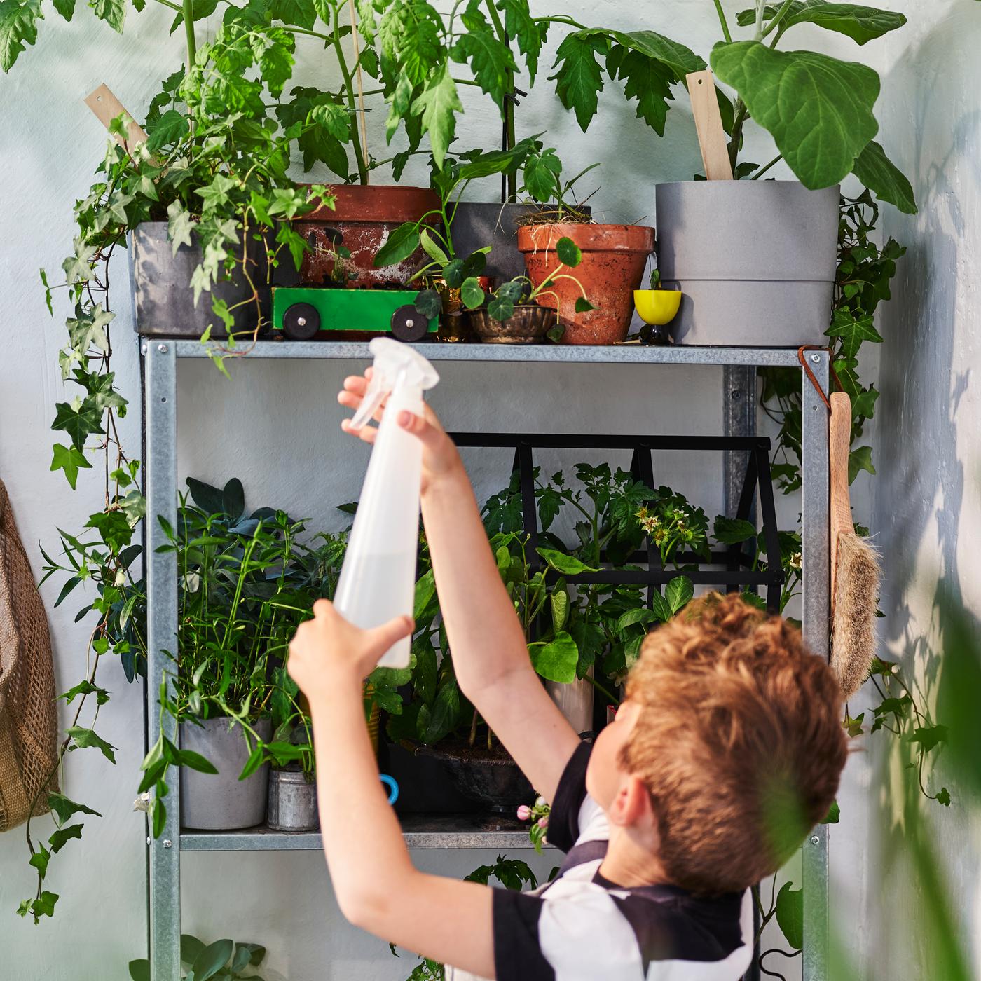 A child stands in front of a HYLLIS shelving unit holding plant pots. He points a spray bottle at them.