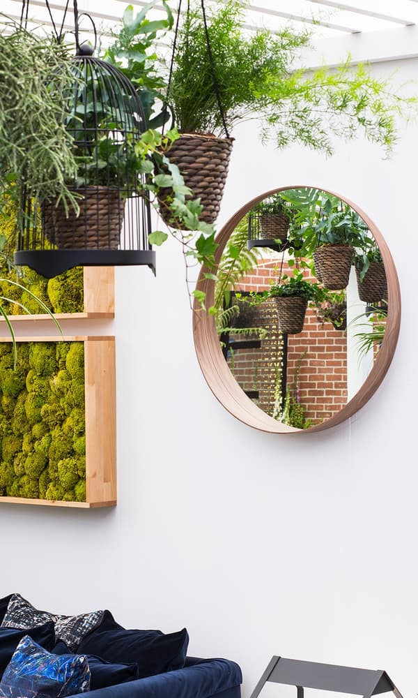 A close up of a circular mirror on a wall with hanging plants next to it.