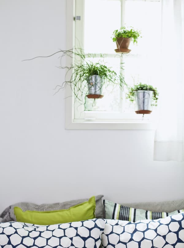 A close up of a window above a bed with hanging plants.