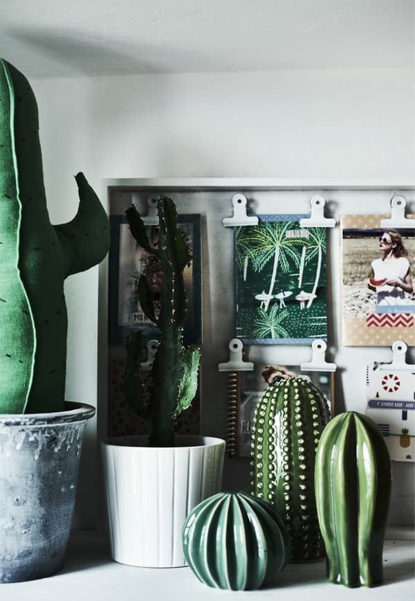 A collection of decorative cacti and postcards.