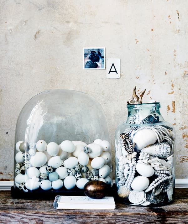 A collection of eggs in a glass dome and shells inside a glass jar.