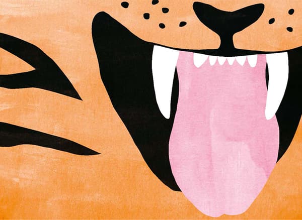 A colourful illustration of a tiger’s mouth.