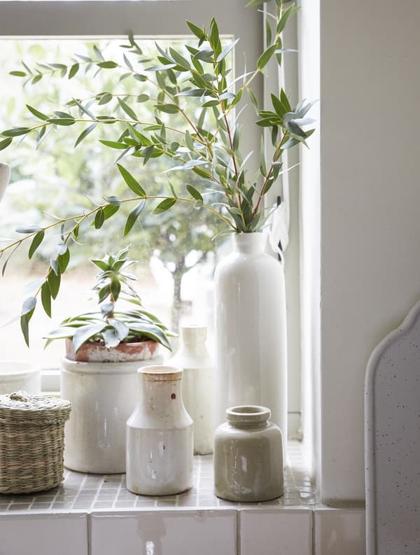 A corner of a windowsill with ceramic pots and plants.