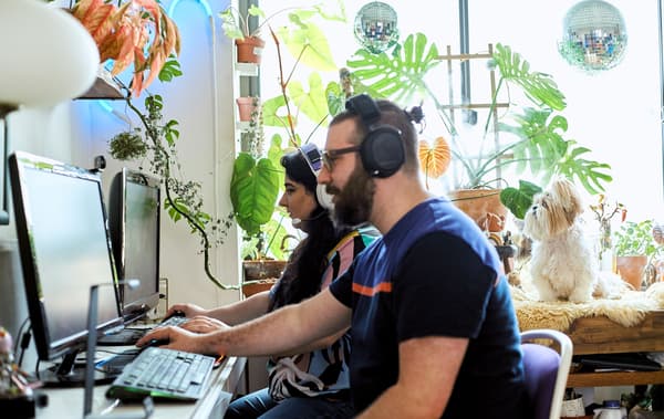 A couple gaming on computers in a workspace with open shelving, a plant display and pet dog.