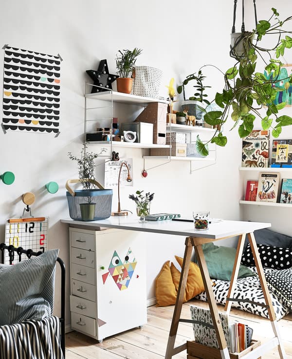 A desk area with hanging plants, shelves and artwork.