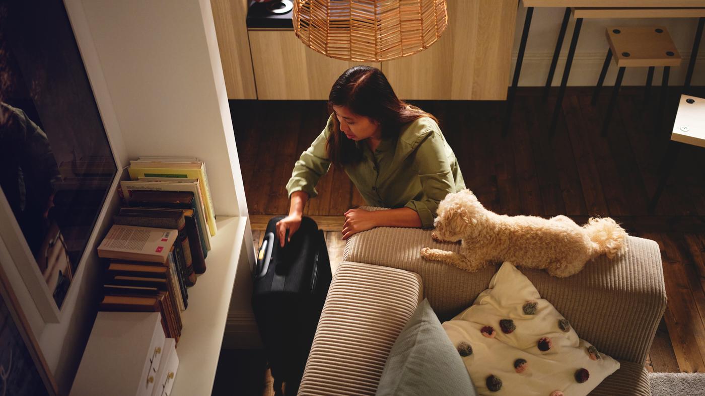 A dog next to a person taking a black VÄRLDENS cabin bag on wheels out from behind a JÄTTEBO 3-seat modular sofa.