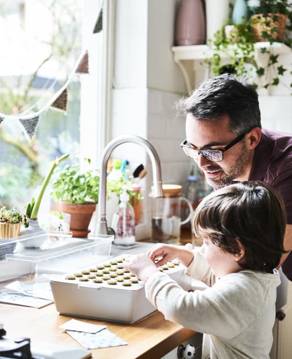 A father and son planting a sprout box in a white kitchen.