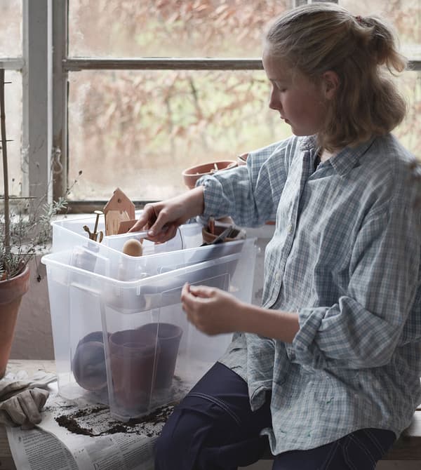 A girl in a greenhouse setting, removing a divider from a clear SAMLA container.