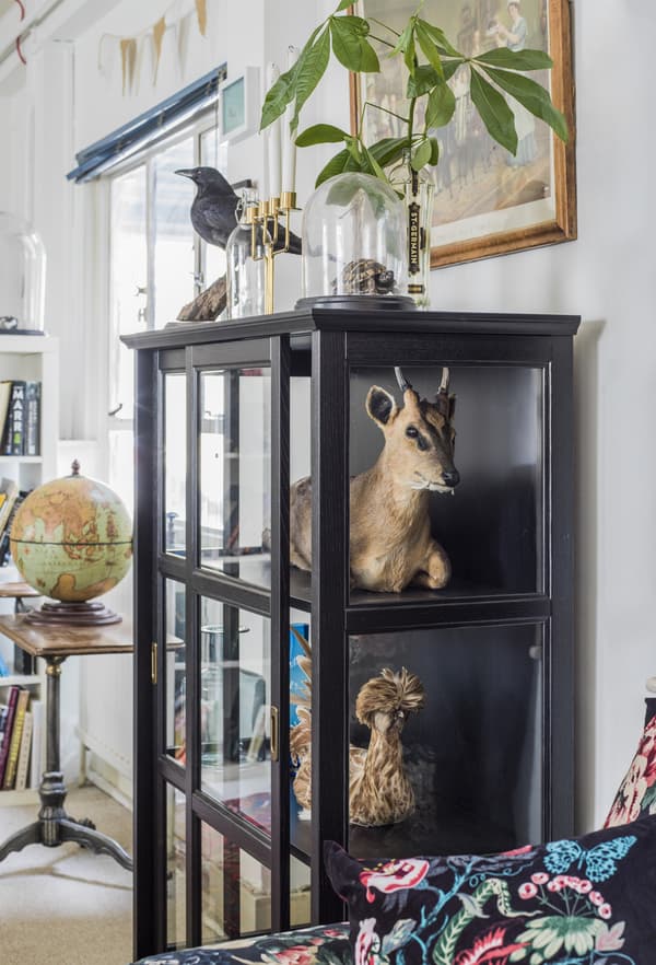 A glass display cabinet with taxidermy.