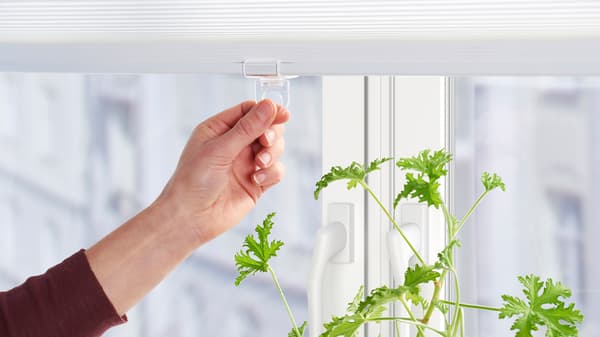 A hand pulling down the blinds in front of a window with a green plant.