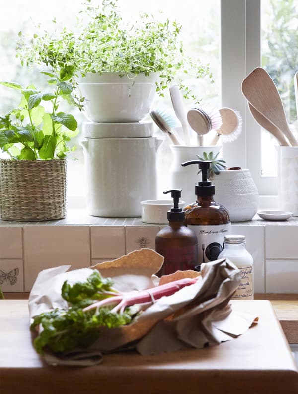 A kitchen counter with rhubarb on a chopping board and utensils and plants on the windowsill.